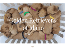 Tablet Screenshot of goldenretrieversofidaho.com